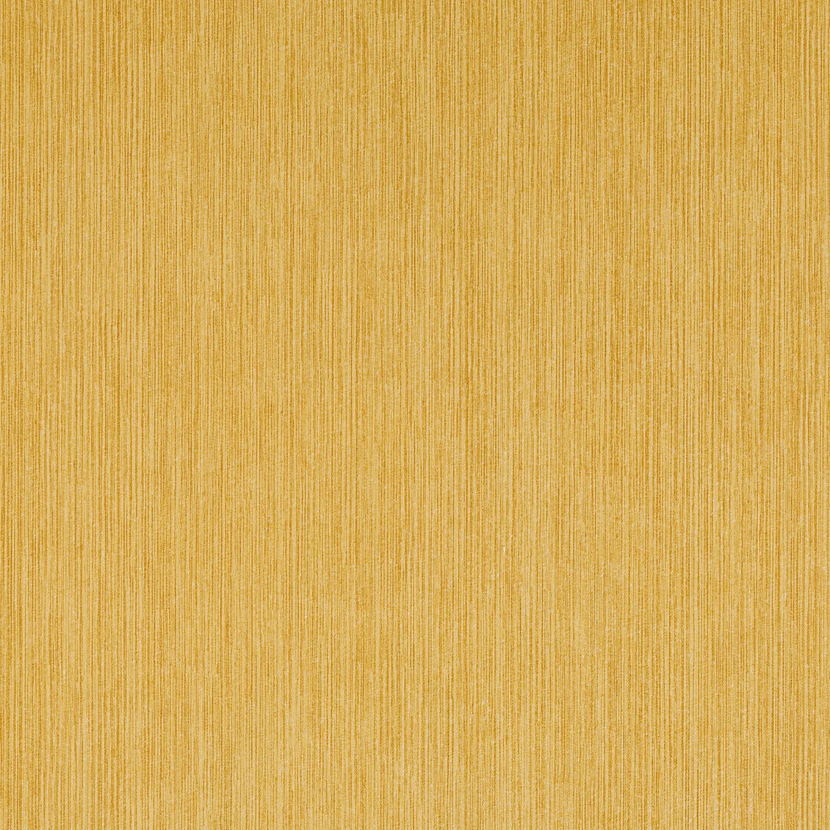 Strie Outdoor - 508 Yellow Brick Road
