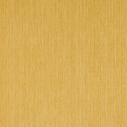Strie Outdoor - 508 Yellow Brick Road
