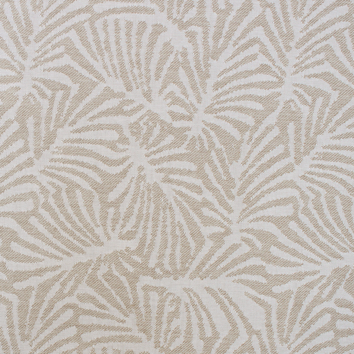 Palmetto - Sand