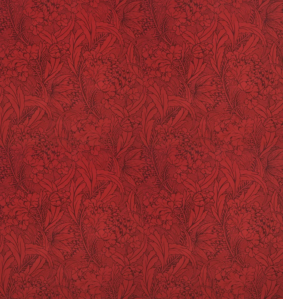Parrot Tulip Foliate Wallpaper - A