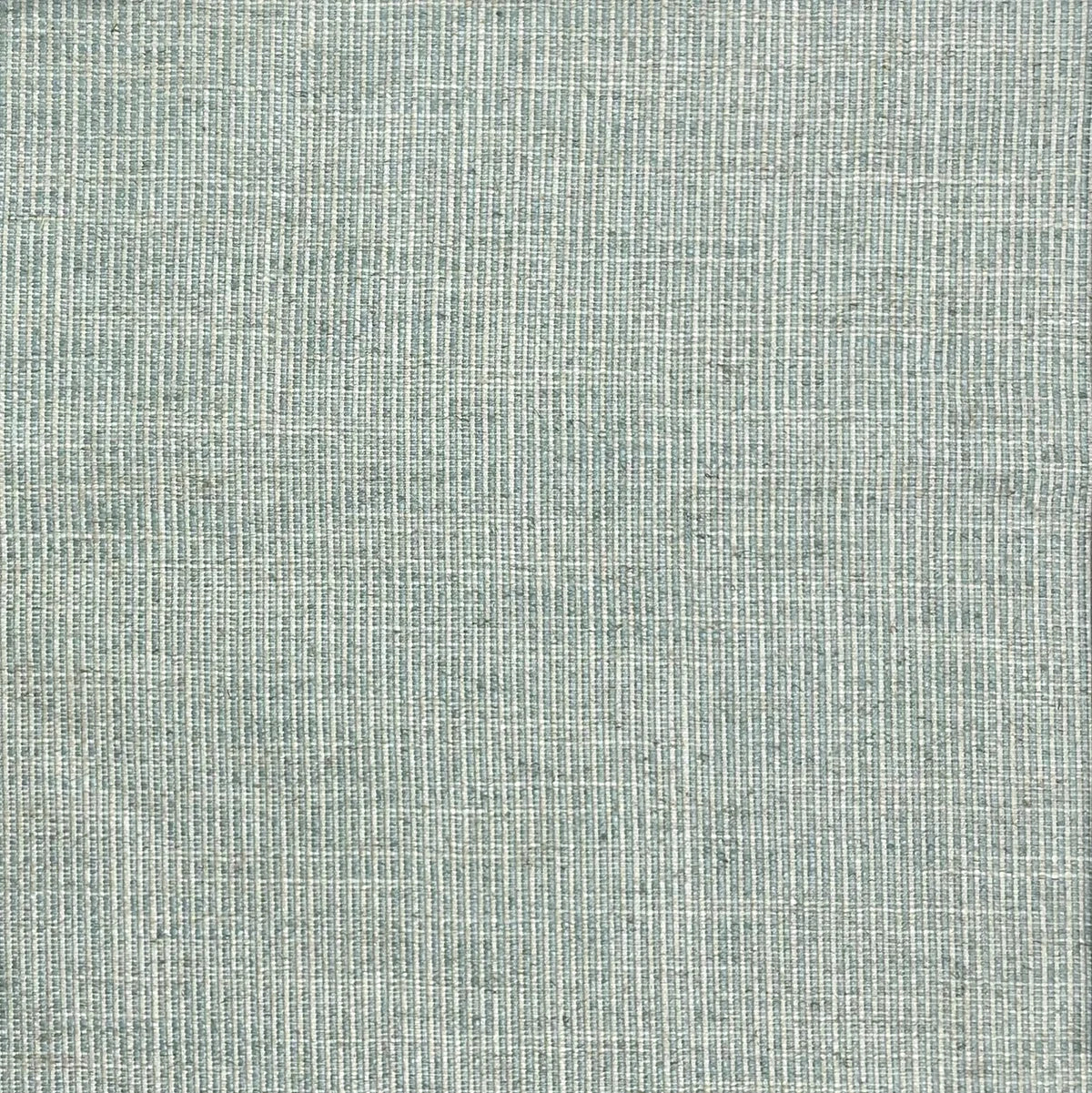 Perdita - Menthe