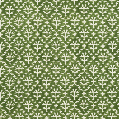 Lattice - Hosta