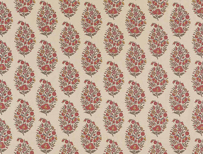 Rajpootana - Raspberry