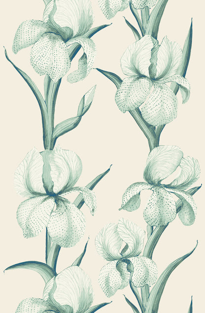 Rayures d'Iris Wallpaper - Aquamarine