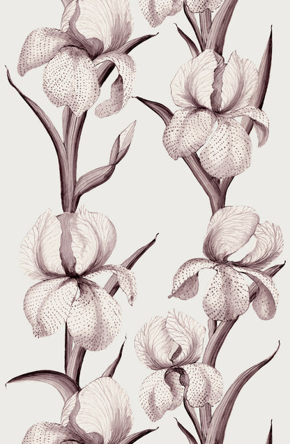Rayures D'Iris Wallpaper - Aubergine
