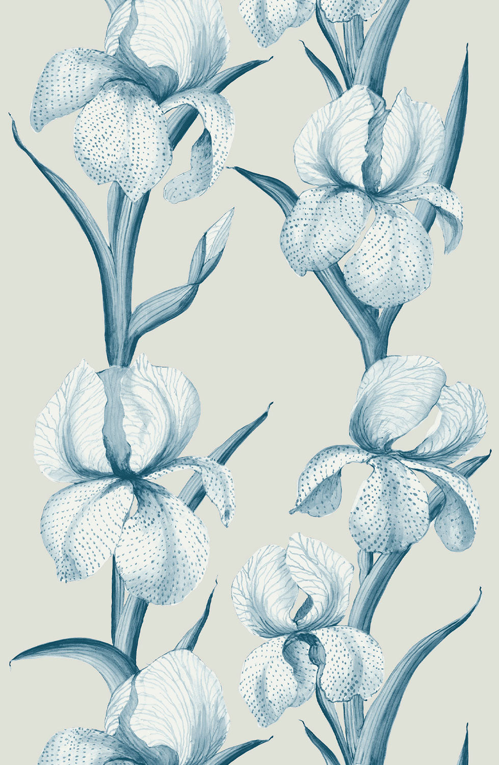 Rayures D'Iris Wallpaper - Nimes Blue