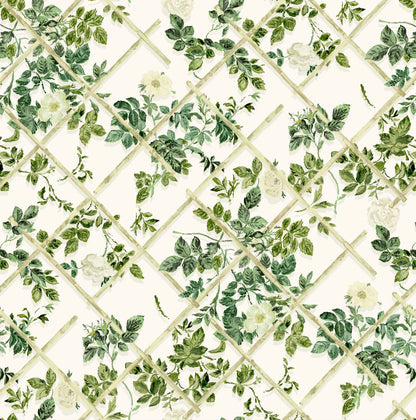 Rose Trellis Wallpaper - Verdure