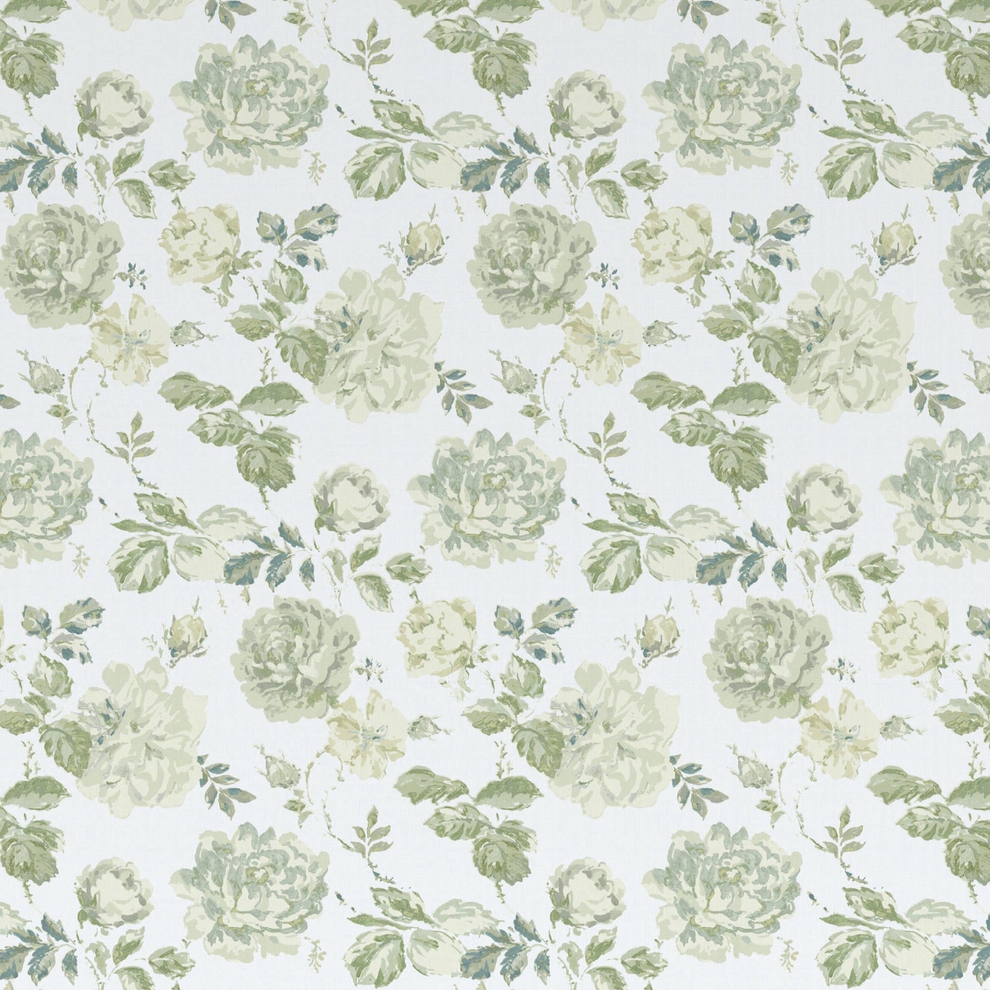 Roses Glacees - Spring Sky