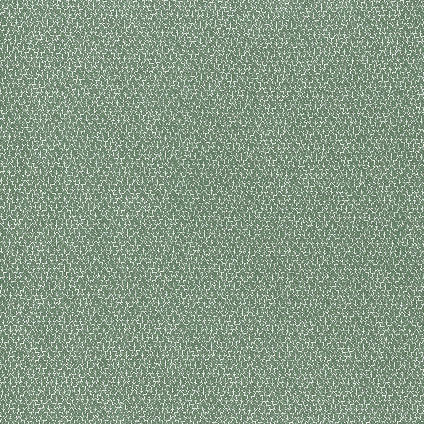 Rowan - Leaf