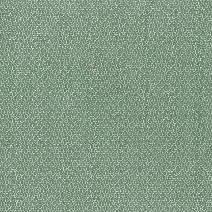Rowan - Leaf