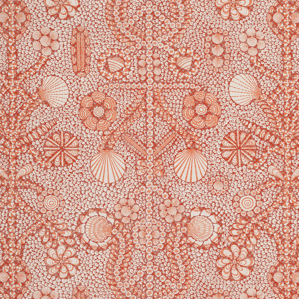Shell Grotto - SHEL-007
