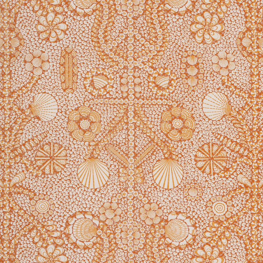Shell Grotto - SHEL-008