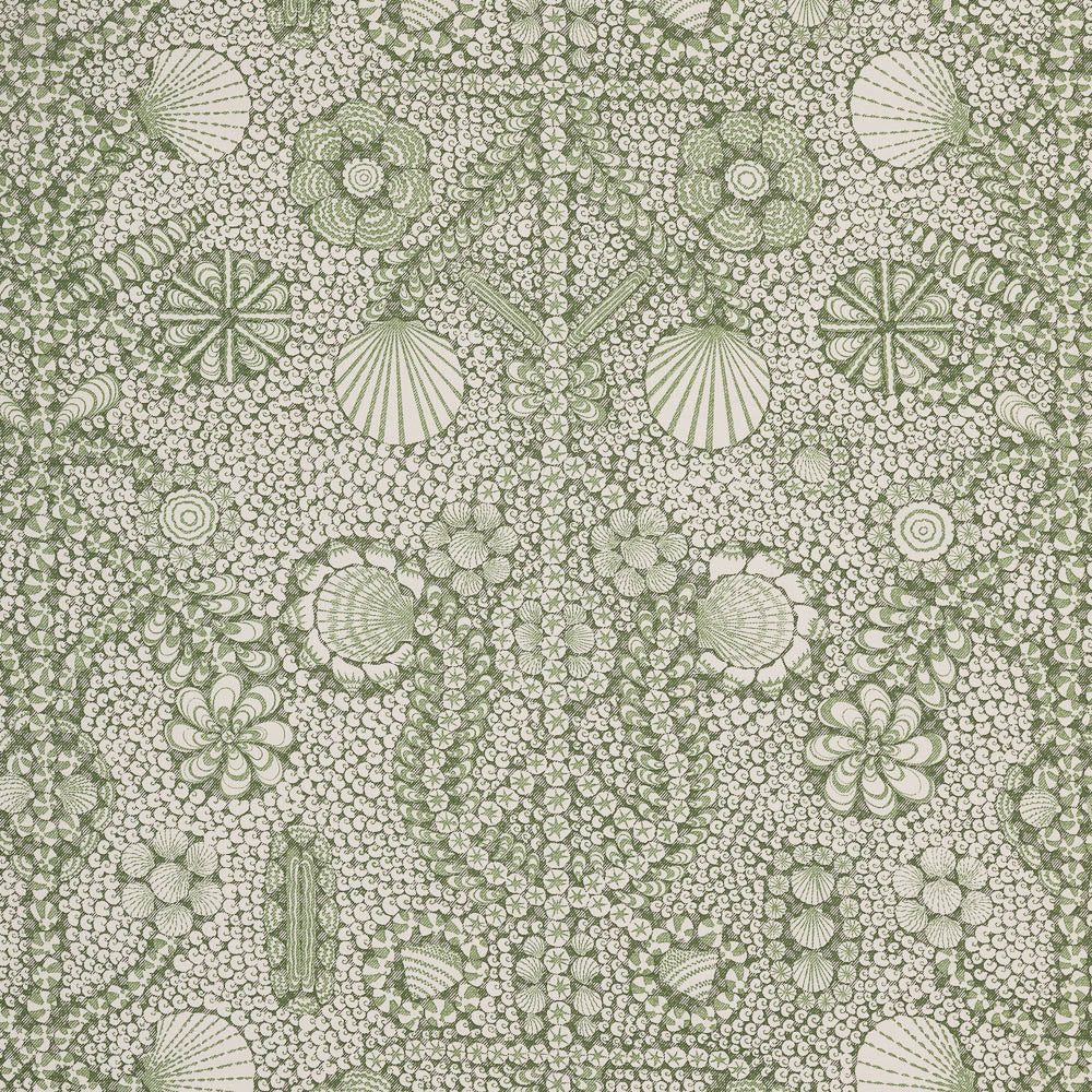 Shell Grotto - SHEL-009