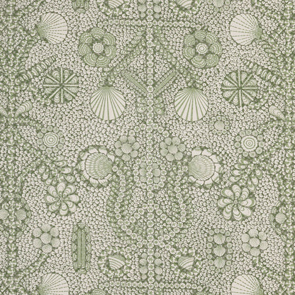 Shell Grotto - SHEL-009