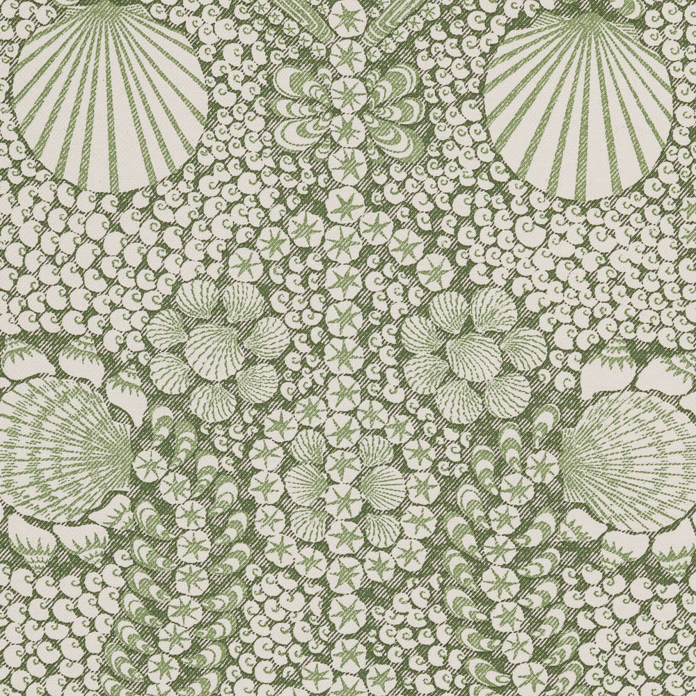 Shell Grotto - SHEL-009