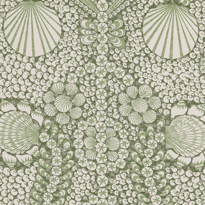 Shell Grotto - SHEL-009