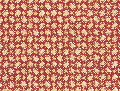 Solstice - Red