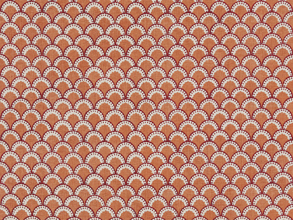 Sol - Coral