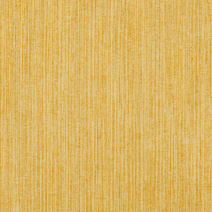 Strie - STRI-008
