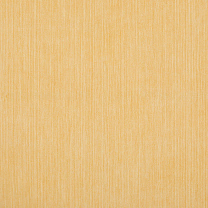 Strie - STRI-009