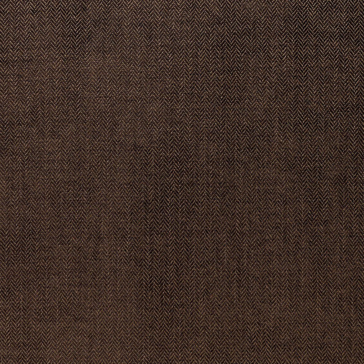 Sahara - Cocoa