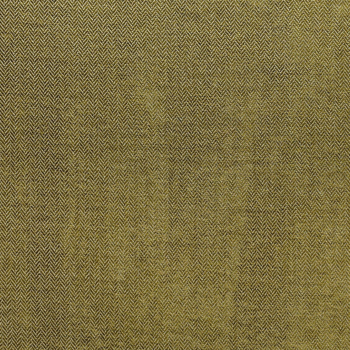 Sahara - Olive