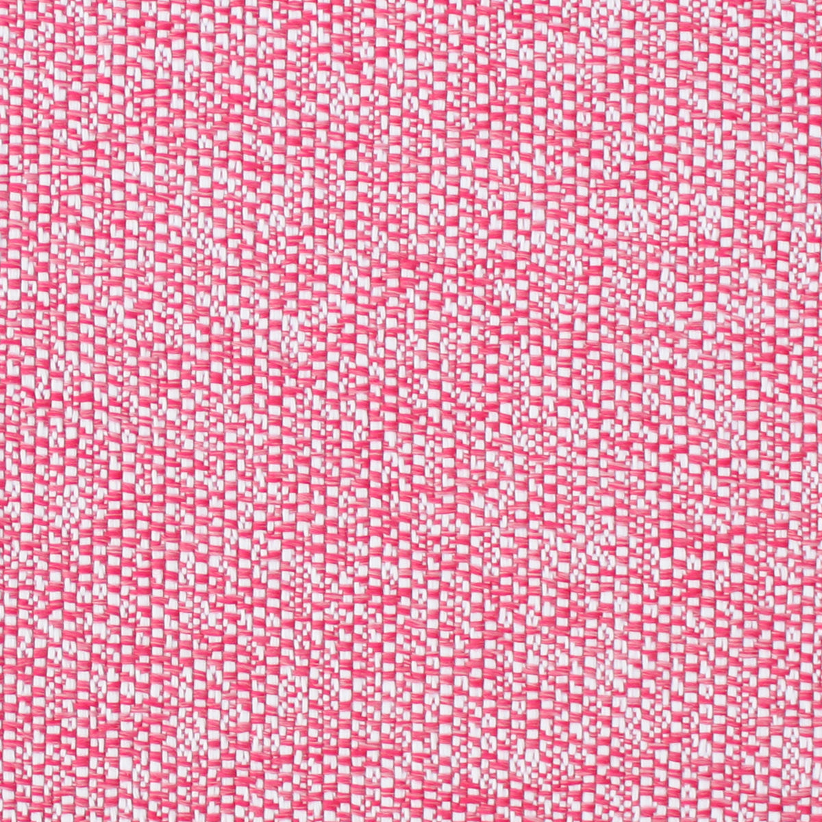 Sandy - Flamingo