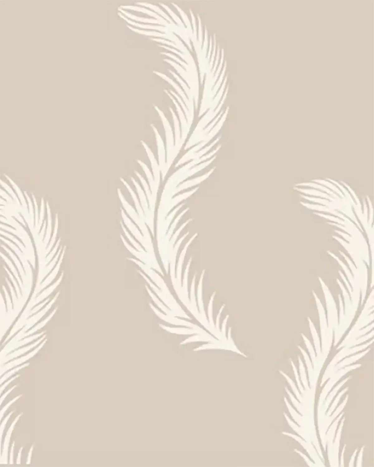 Featherbed - Digital - Chalk on Portland Stone