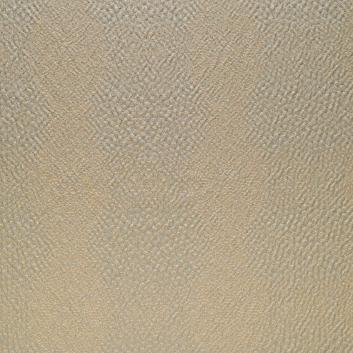 Shagreen - Sea