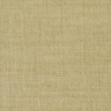 Spencer Velvet 354 - 22 Ivory