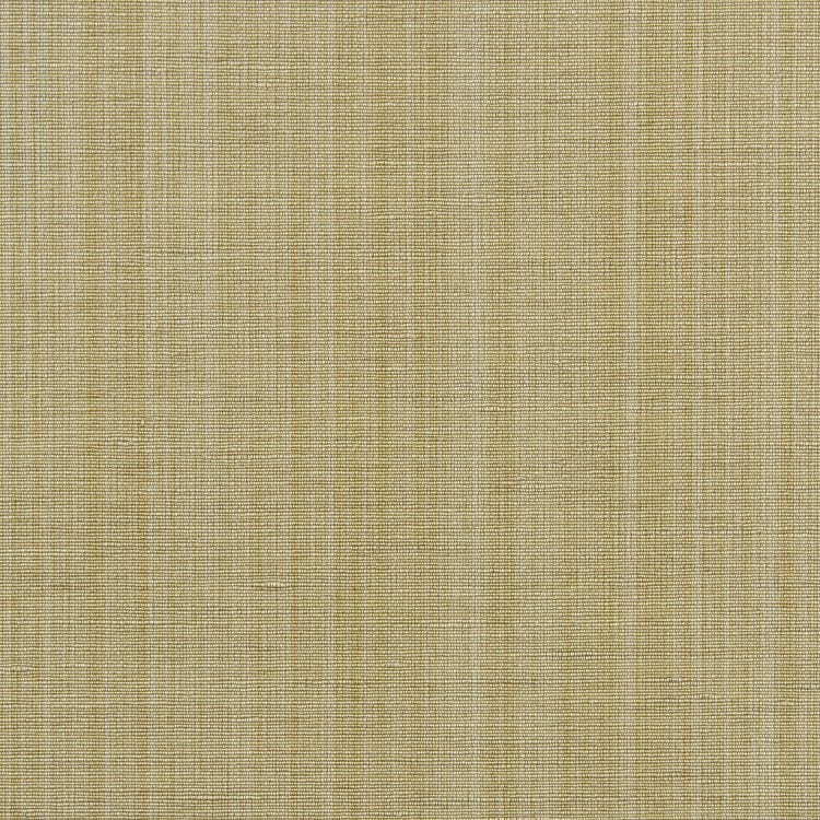 Strie 011L - 03 Oyster
