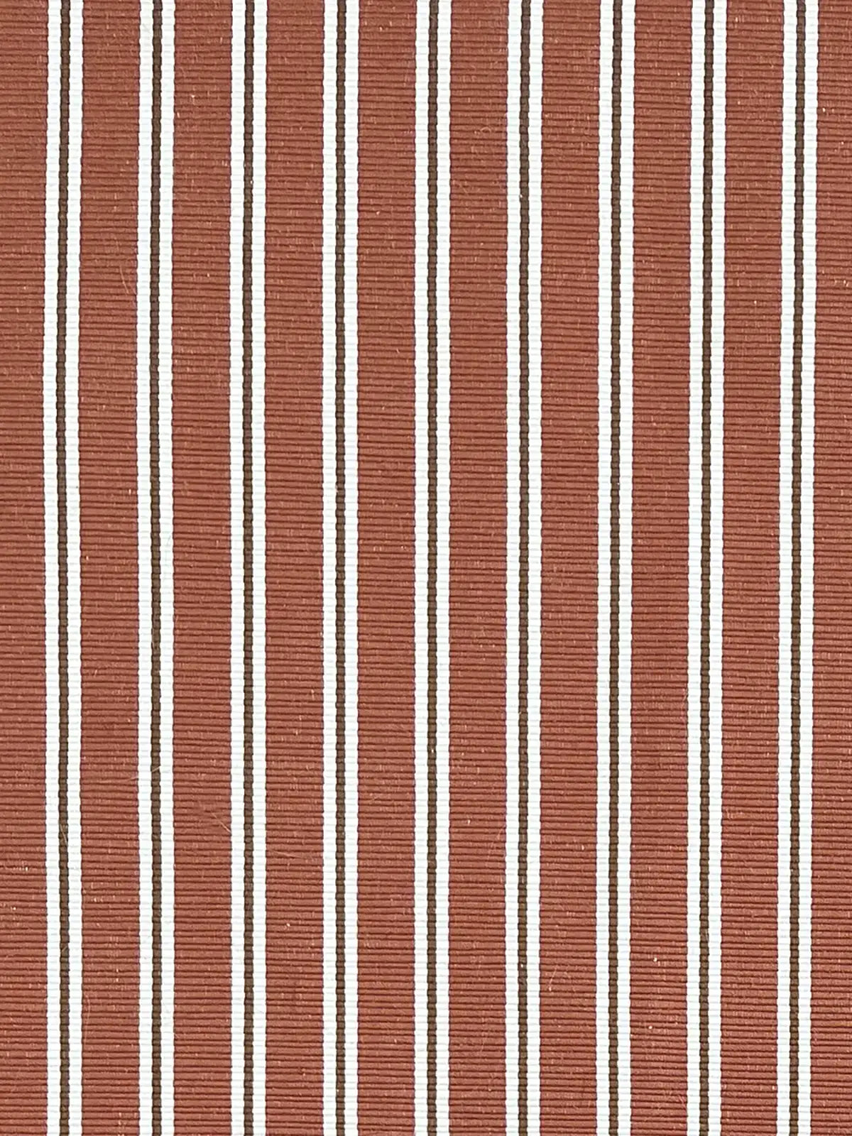 Between the Lines - Persimmon