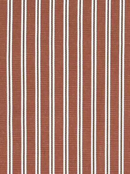 Between the Lines - Persimmon