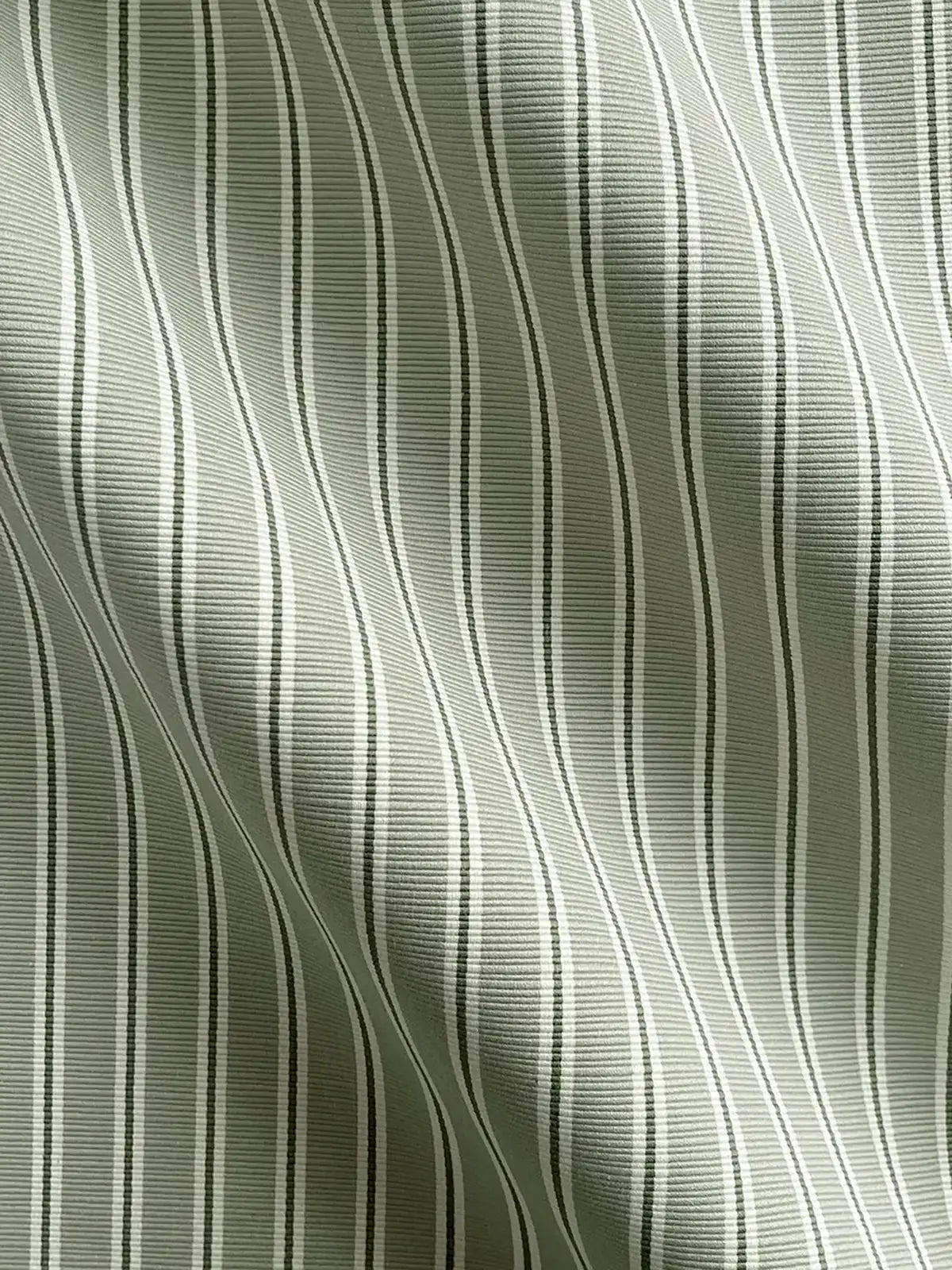 Between the Lines - Dill