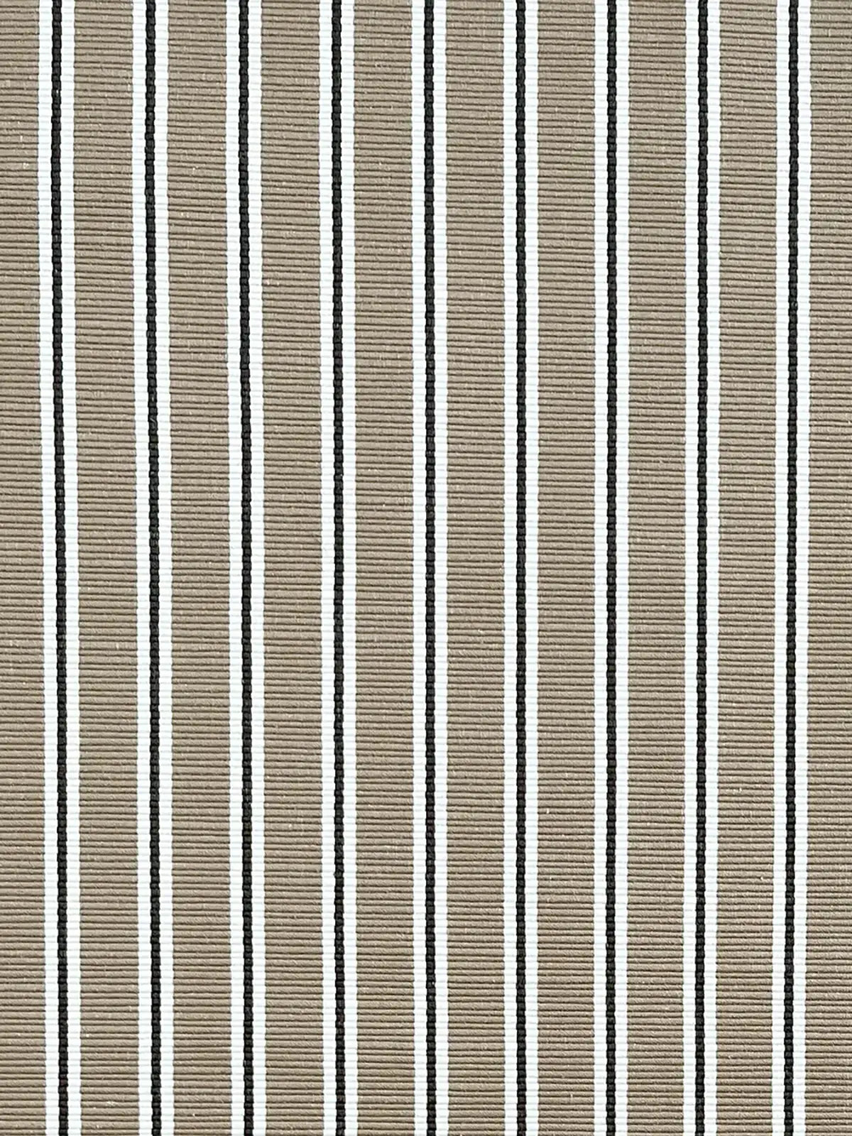 Between the Lines - Mink