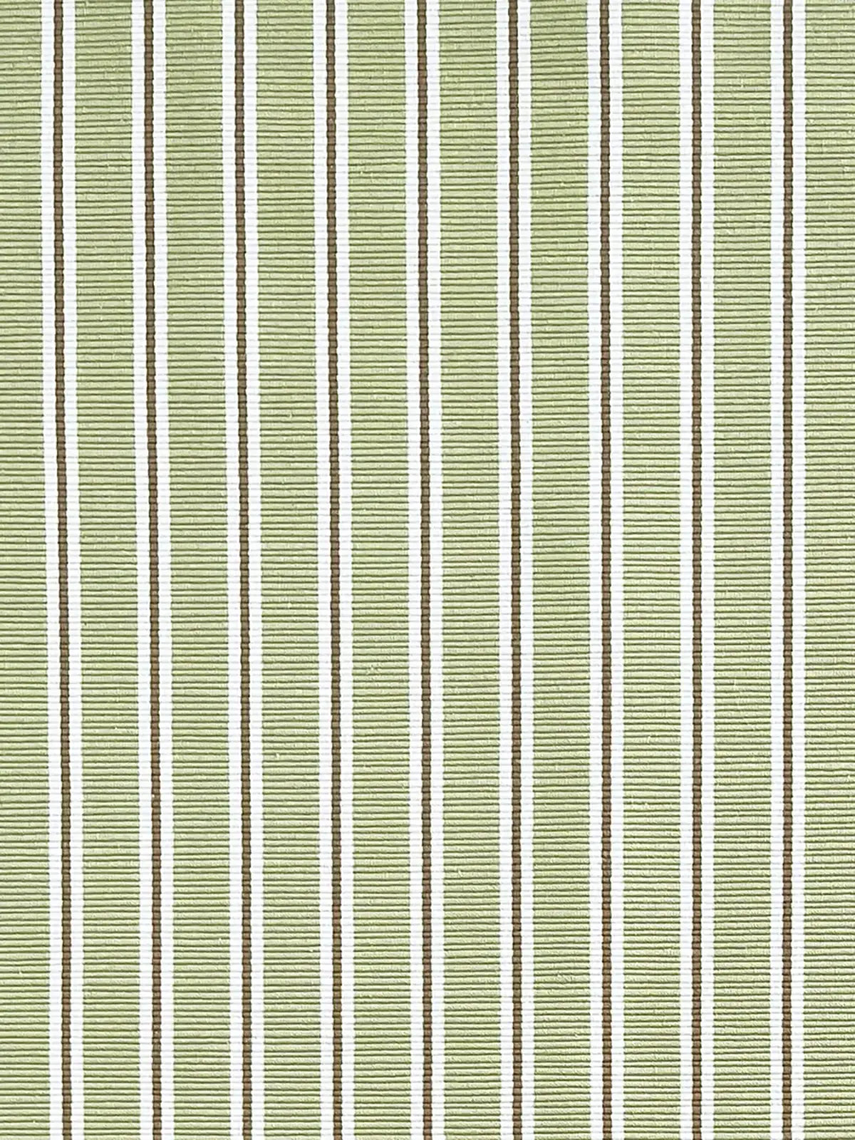 Between the Lines - Pistachio