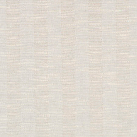 Reale Stripe - Cream