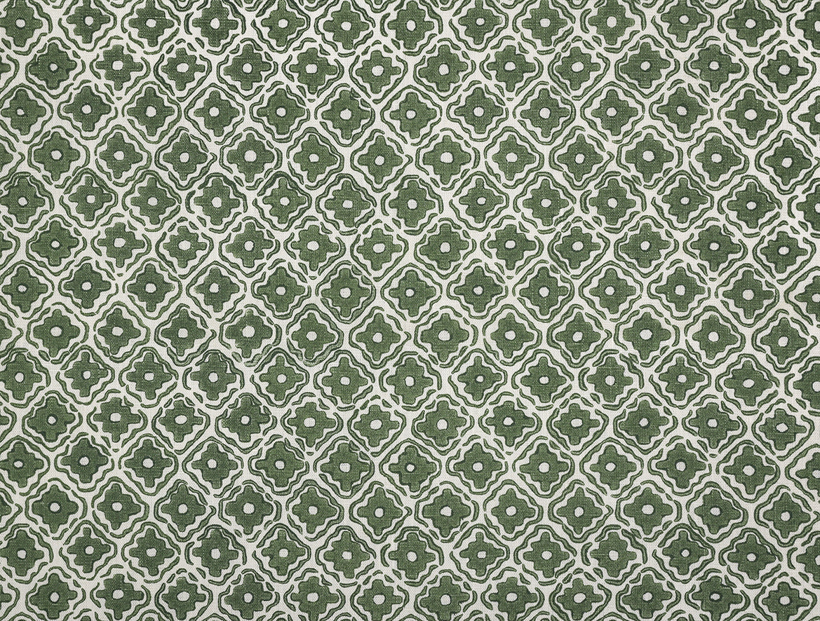 Tali - Fiddlehead