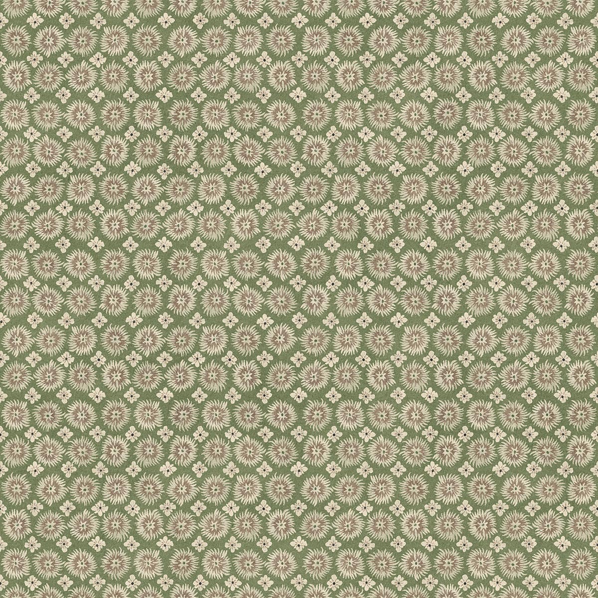 Urchin - Clover