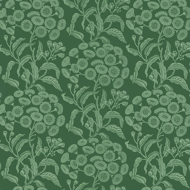 Angophora Wallpaper - Green / Green