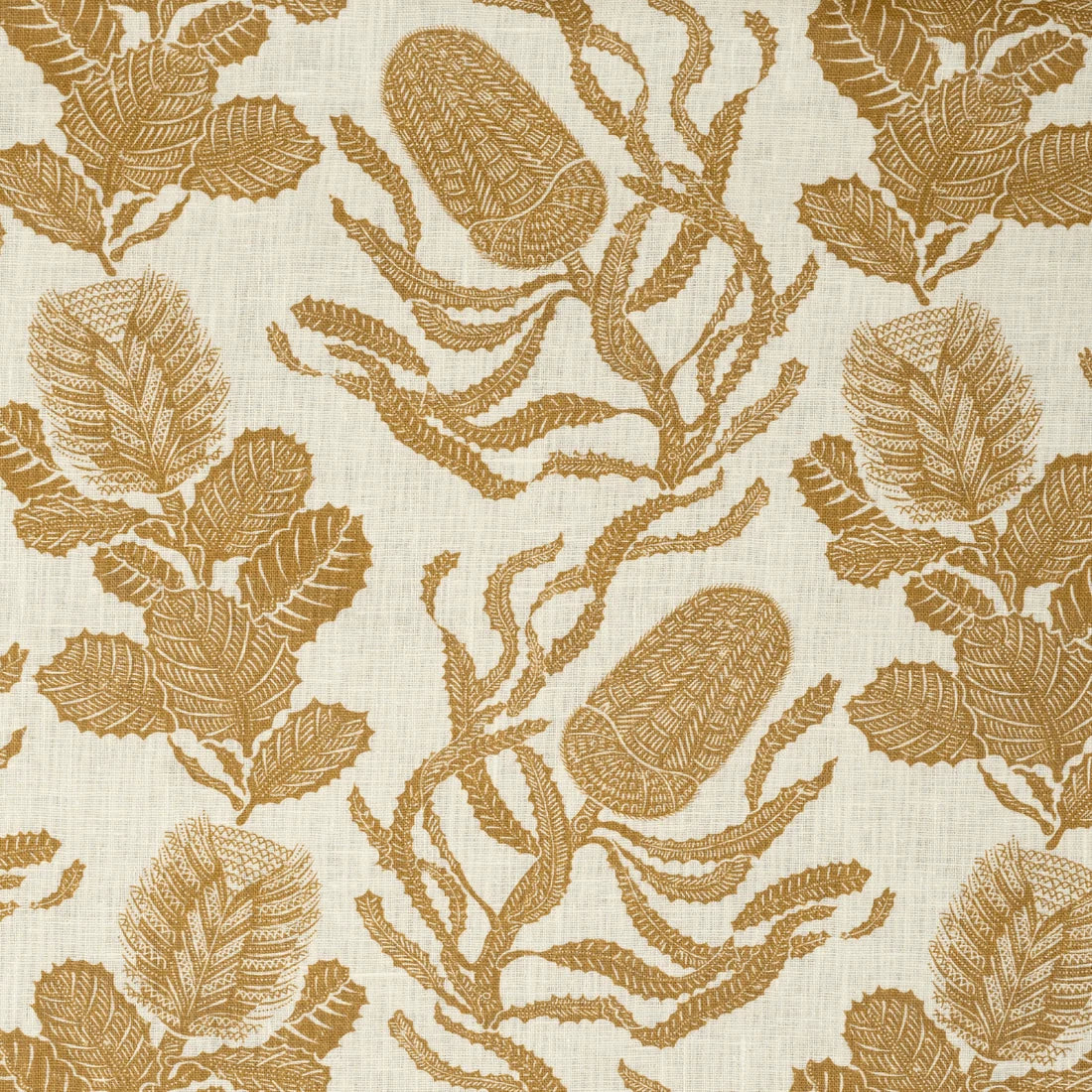 Cape Botanical - Old Gold / Oyster
