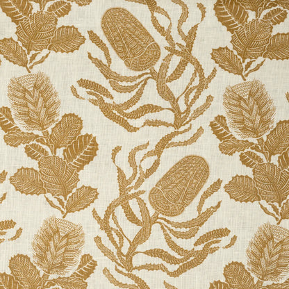 Cape Botanical - Old Gold / Oyster