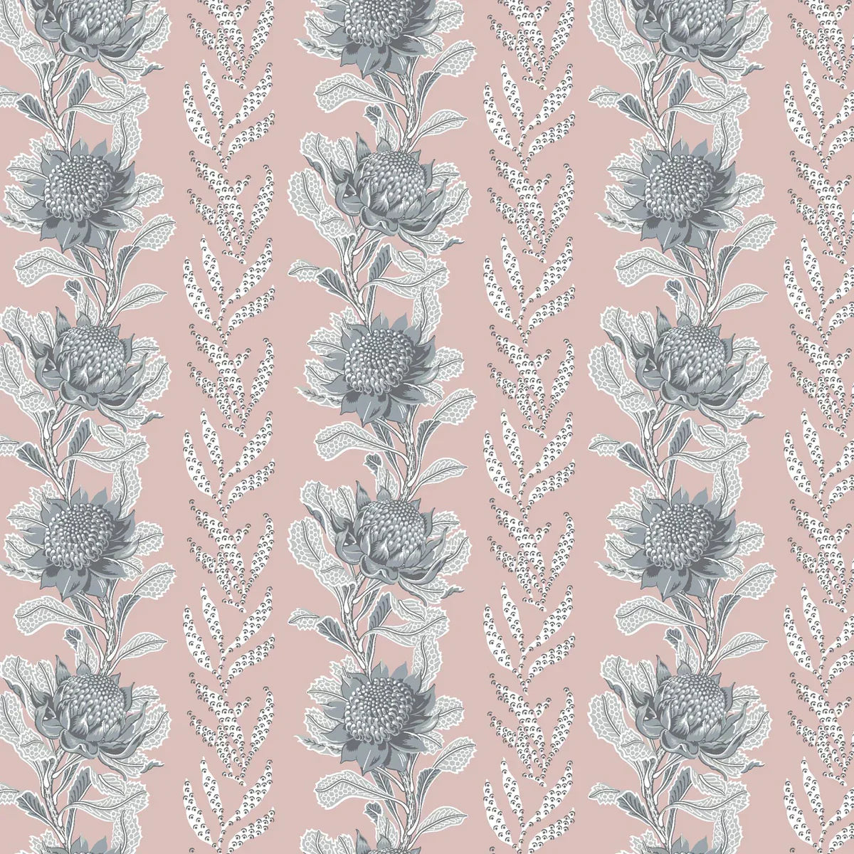 Imperial Waratah Wallpaper - Pink