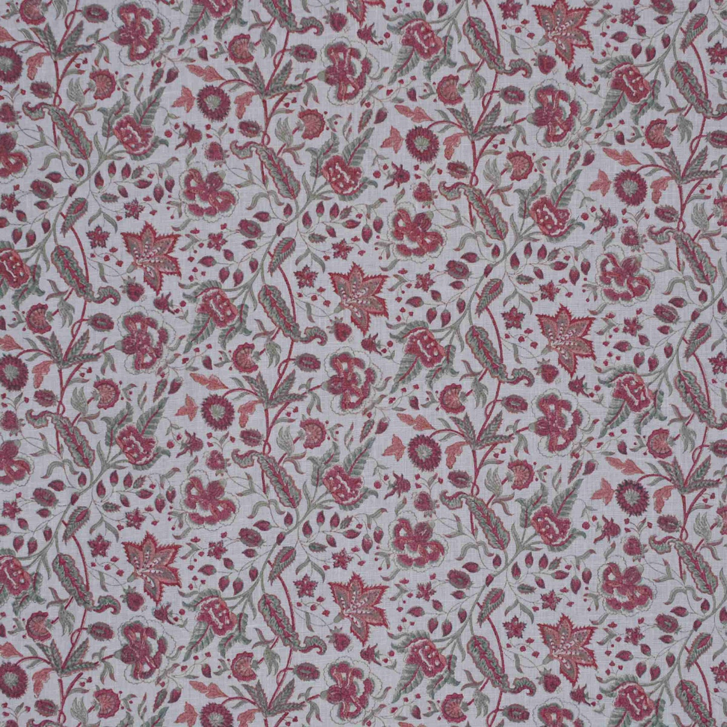 Vine - Tracery & Fuchsia