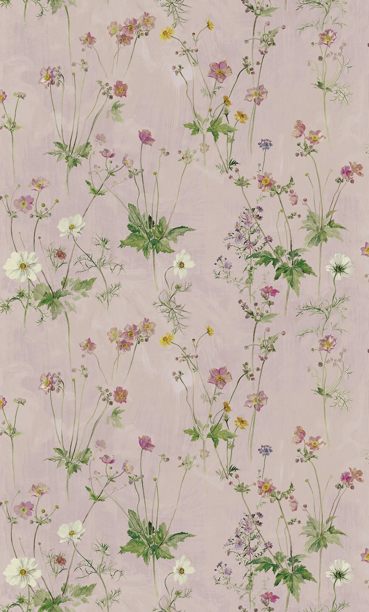 Windflowers - Garden Lilac