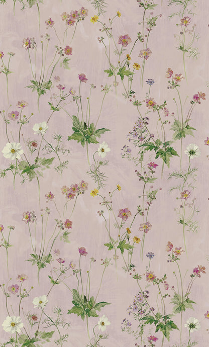 Windflowers - Garden Lilac