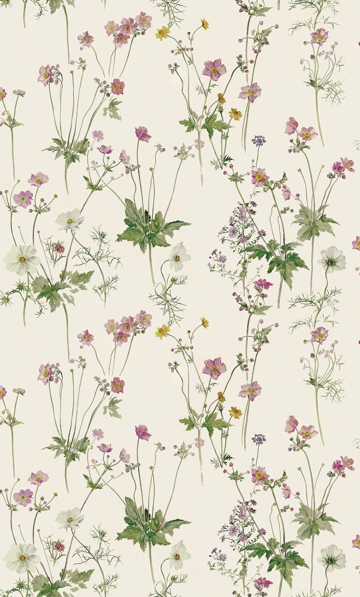 Windflowers - Pink Lemonade