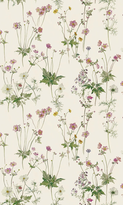 Windflowers - Pink Lemonade