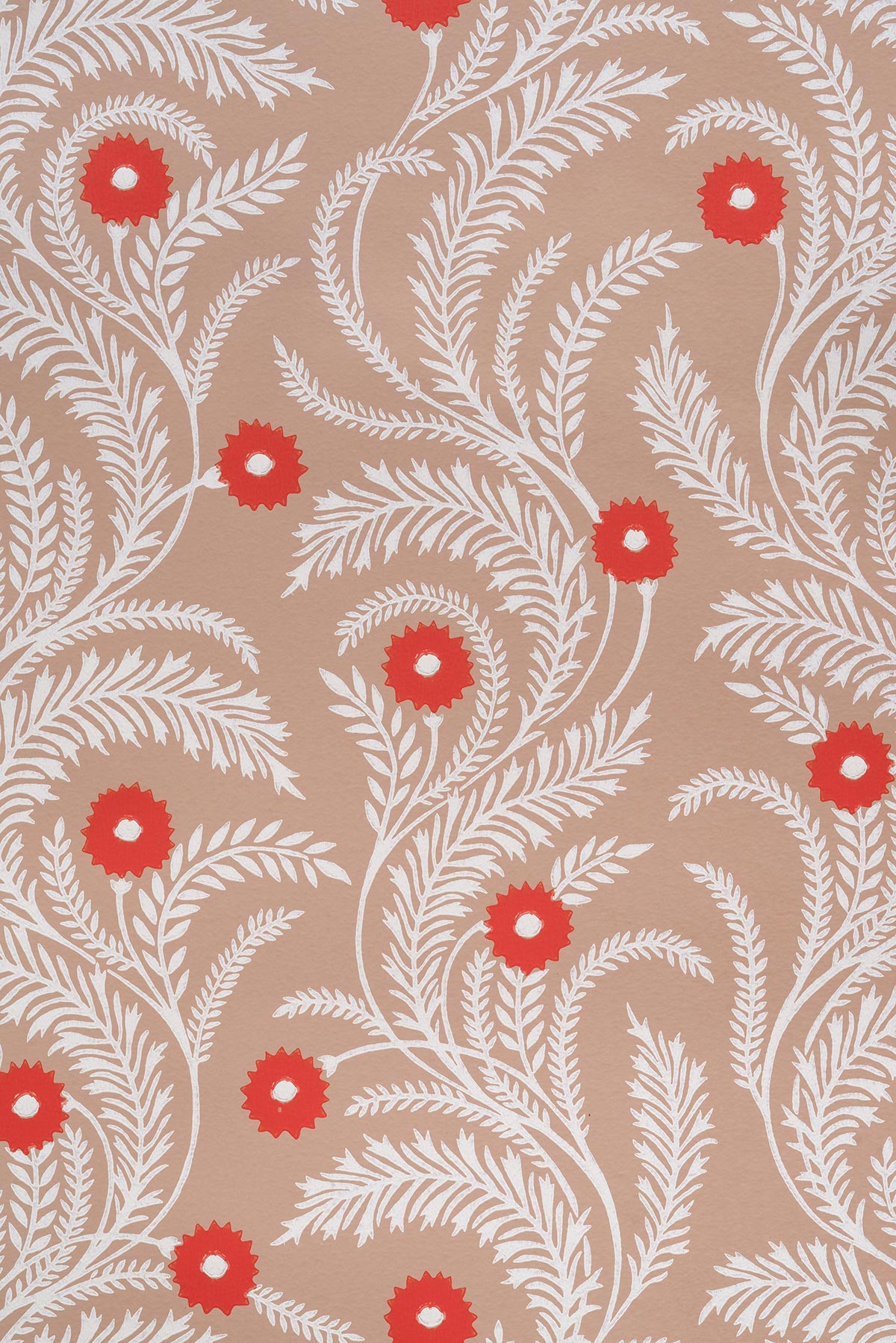 Wild Daisy Wallpaper - Biscuit