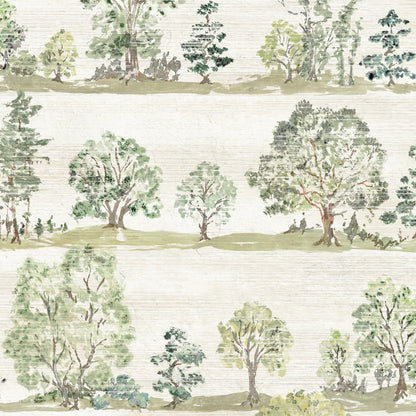 Woodland Walk Wallpaper - Spring